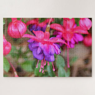 Quebra-cabeça Flores cor-de-rosa e púrpura da Fúsia, floridas