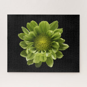 Quebra-cabeça Flores Crolisântemo Verde