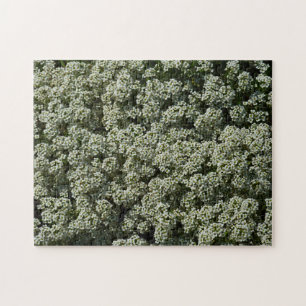 Quebra-cabeça Flores de Alyssum Doce Floral Branco