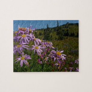 Quebra-cabeça Flores de Aster Roxo no Monte Rainier