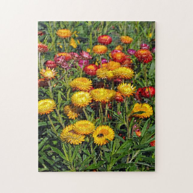 Quebra-cabeça Flores de botões vermelho e amarelo (Vertical)