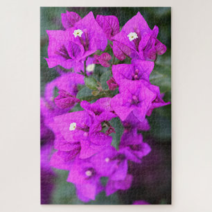 Quebra-cabeça Flores de bougainvillea