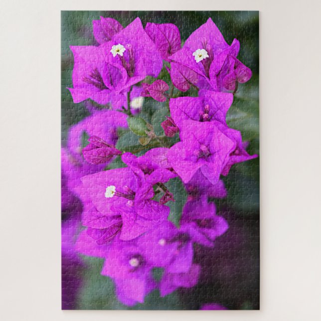 Quebra-cabeça Flores de bougainvillea púrpura (Vertical)