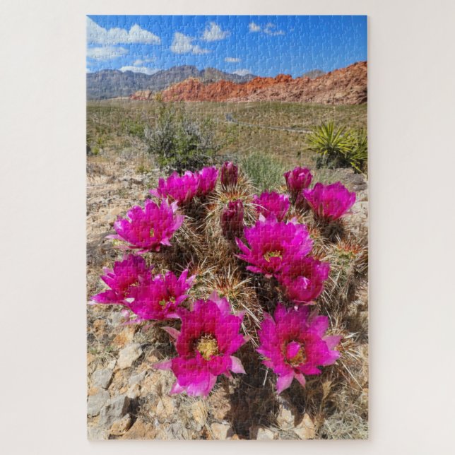 Quebra-cabeça Flores de cacto rosa no Red Rock Canyon, NV (Vertical)