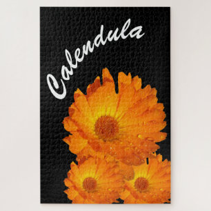 Quebra-cabeça - Flores de Calendário Laranja Gotas