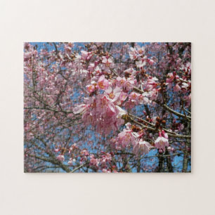 Quebra-cabeça Flores de cereja e flores de primavera cor-de-rosa