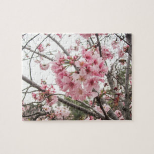 Quebra-cabeça Flores de cerejeira da primavera -