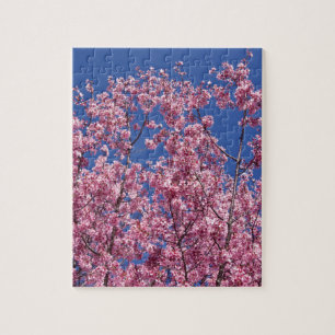 Quebra-cabeça Flores de cerejeira de Sakura no azul