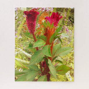 QUEBRA-CABEÇA FLORES DE COCKSCOMB