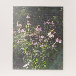 Quebra-cabeça Flores de Echinacea no Sol