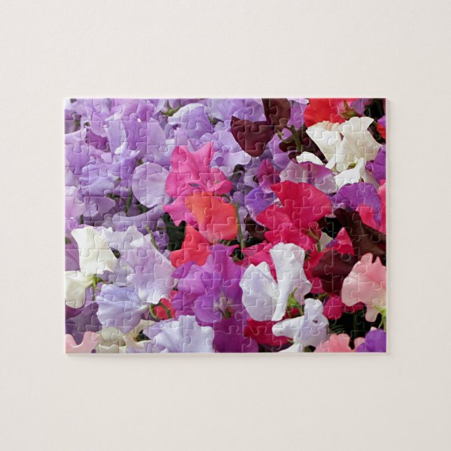 Quebra-cabeça Flores de ervilha cor-de-rosa, púrpura e branca, d (Horizontal)