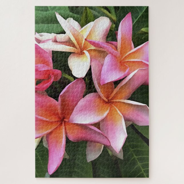 Quebra-cabeça Flores De Frangipani Cor-De-Rosa Pálido (Vertical)
