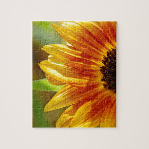 Quebra-cabeça Flores de girassol laranja e amarelo