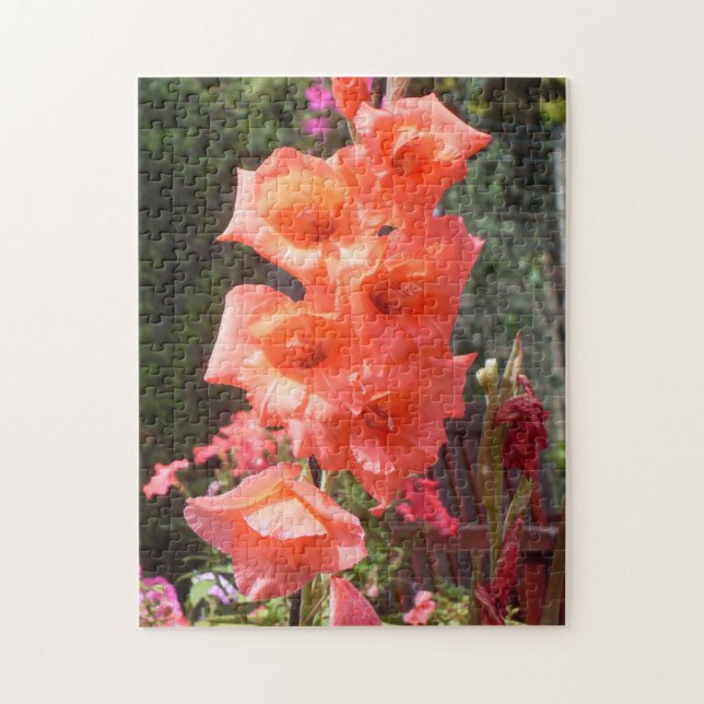 Quebra-cabeça Flores de Gladíolos Vermelhos (Vertical)