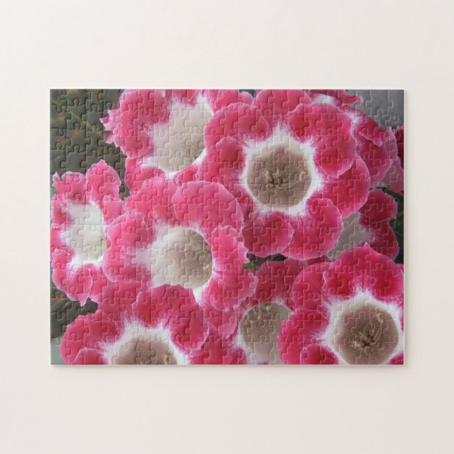 Quebra-cabeça Flores de gloxinia, vermelhas e brancas. (Horizontal)