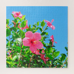 Quebra-cabeça - Flores de Hibiscus Rosa
