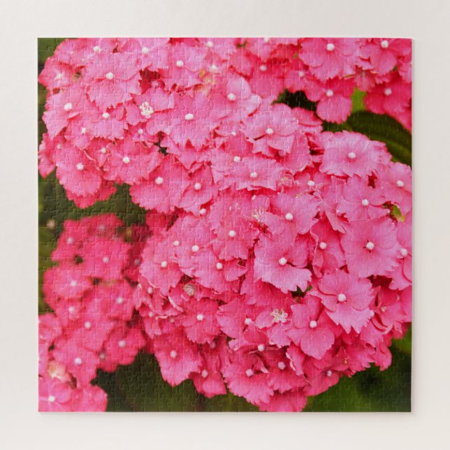 Quebra-cabeça Flores de hidrangea cor-de-rosa (Vertical)