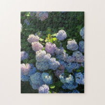 Flores de Hortênsia Azul Jigsaw Puzzle