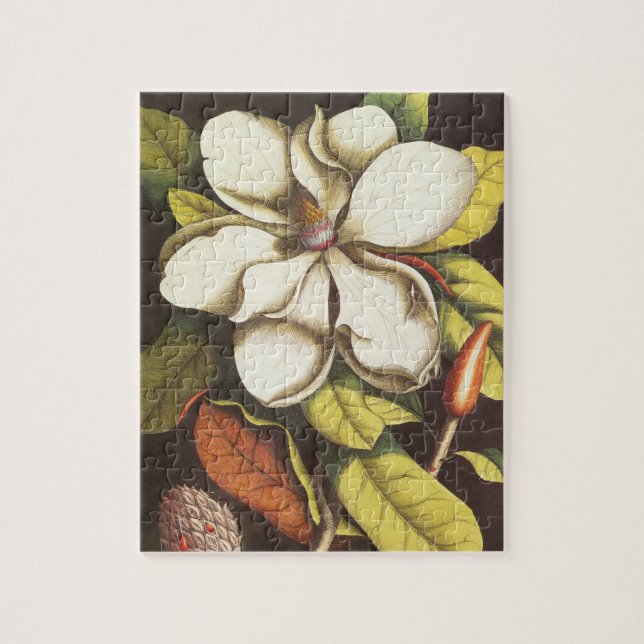 Quebra-cabeça Flores de Magnólia Antiga Planta Com Sementes (Vertical)