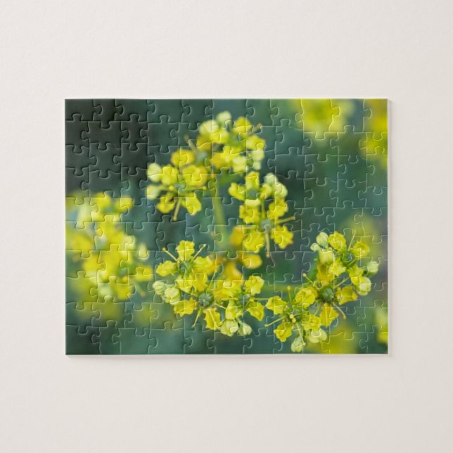 Quebra-cabeça Flores de Mostarda, Quebra-Cabeça, 8x10 pol, 110 p (Horizontal)