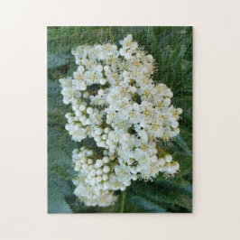 Quebra-cabeça Flores de Pérola Alpina Puzzle, 28 cm x 35,5 cm, 2