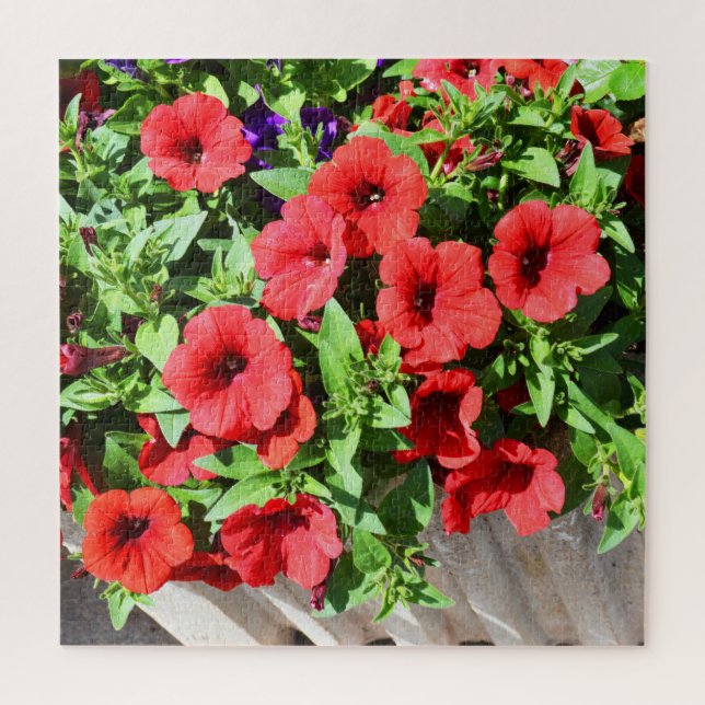 Quebra-cabeça Flores de petúnia vermelha (Vertical)