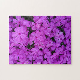 Quebra-cabeça Flores de Phlox Roxas