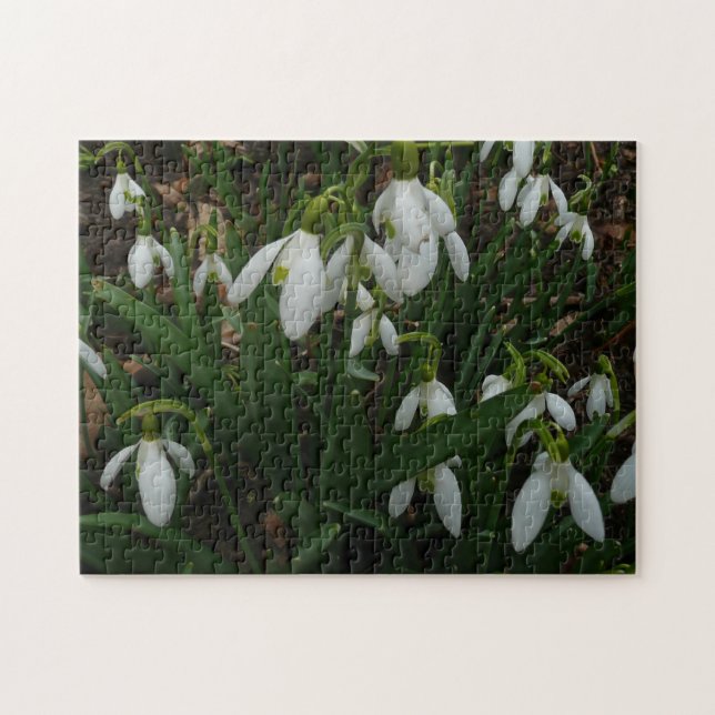 Quebra-cabeça Flores de primavera Brancas I (Galanthus) (Horizontal)