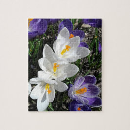 Quebra-cabeça Flores de primavera Crocus no Parque