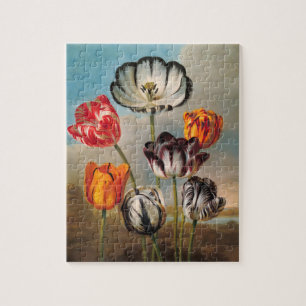 Quebra-cabeça Flores de Tulipa Variegada Antiga em uma Paisagem