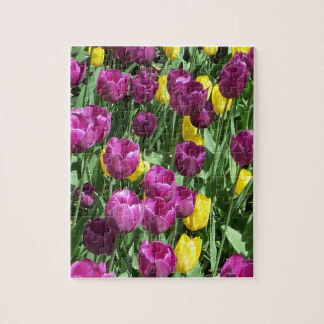 Quebra-cabeça Flores de Tulipas Amarelas e Púrpuras (Vertical)