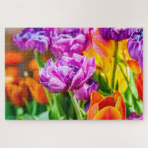 Flores de Tulipas de Papagaio Roxo Estonteantes