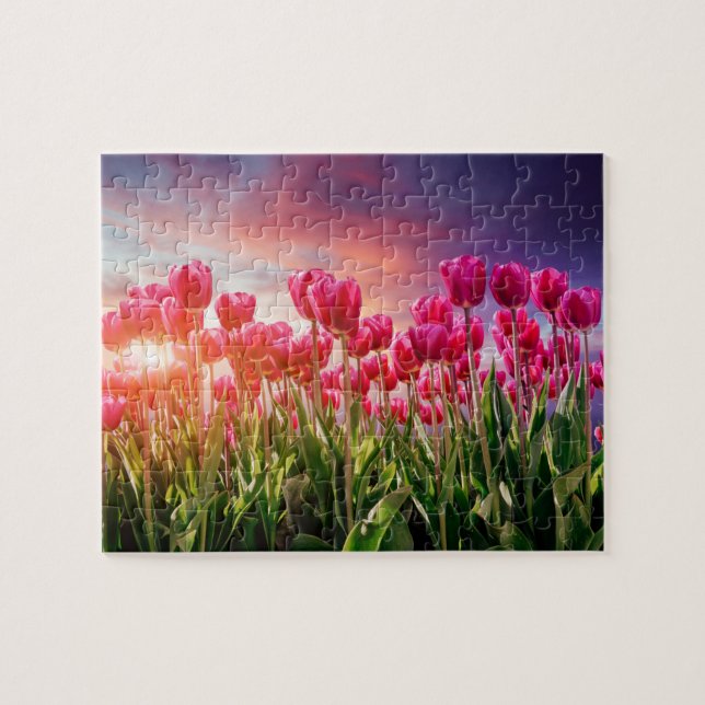 Quebra-cabeça Flores de Tulipas Rosa Sunset Nature Países Baixos (Horizontal)