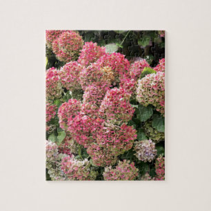 Quebra-cabeça Flores de um hydrangea do francês (macrophyl do
