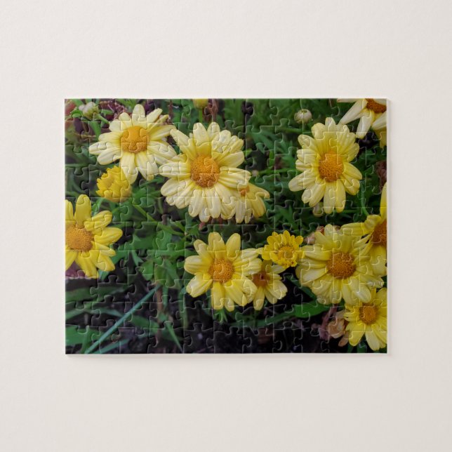 Quebra-cabeça Flores de verão (Horizontal)