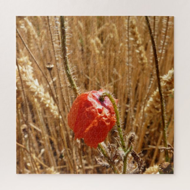 Quebra-cabeça Flores de verão no campo de trigo maduro (Vertical)