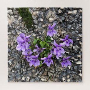 Quebra-cabeça Flores de Viola selvagem crescendo de uma parede d