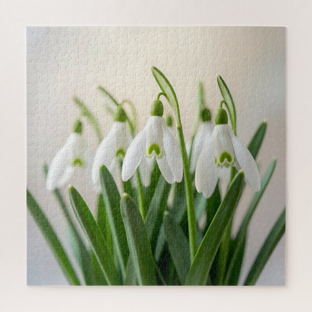 Quebra-cabeça Flores Delicadas de Neve Branca Florem na Primaver (Vertical)