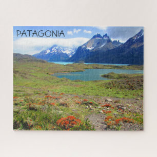 Quebra-cabeça flores do lago da patagônia