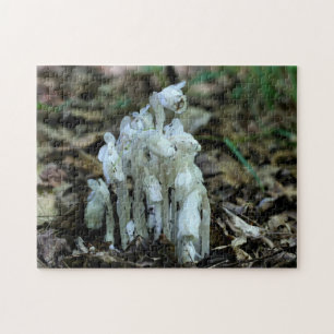 Quebra-cabeça Flores-do-mato-fantasma