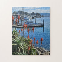 Flores e Barcos na Costa