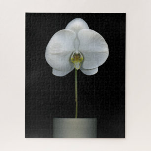 Quebra-cabeça Flores Flor Orquídea Branca