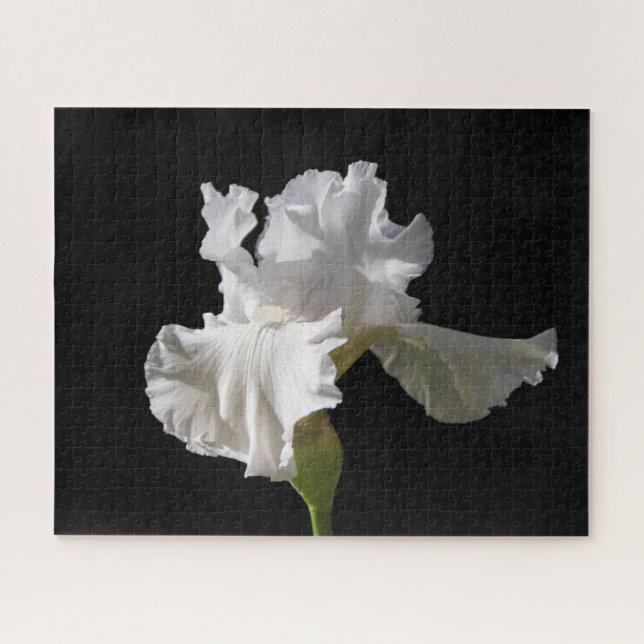 Quebra-cabeça Flores | Íris branca (Horizontal)