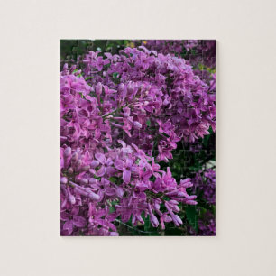 Quebra-cabeça Flores magenta roxas profundas elegantes flores li
