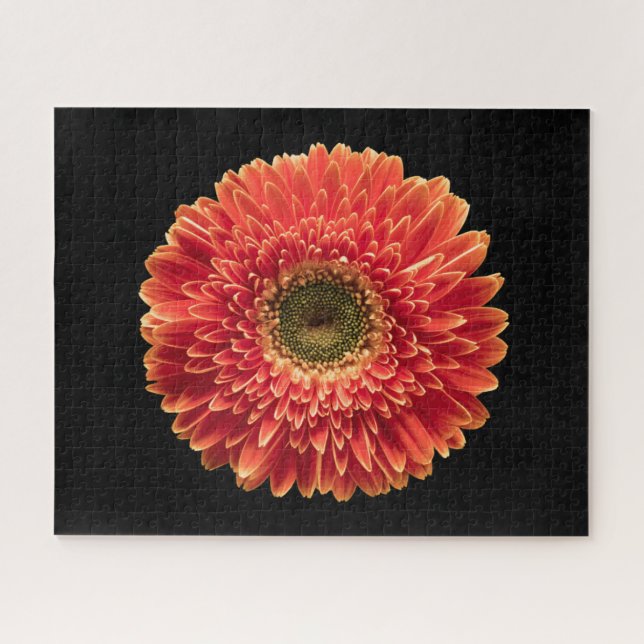 Quebra-cabeça Flores | Orange Gerbera Daisy (Horizontal)