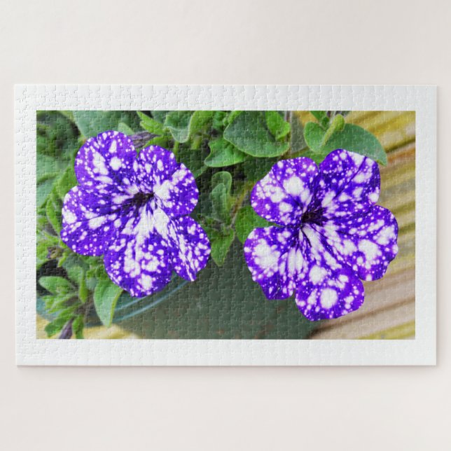 Quebra-cabeça Flores Petunia (Horizontal)