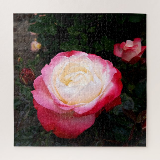 Quebra-cabeça Flores rosas, Rosas brancas rosa (Vertical)