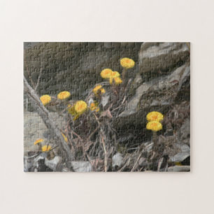 Quebra-cabeça Flores Selvagens Amarelas Na Pintura A Óleo De Ro