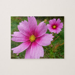 Quebra-cabeça Flores Silvestres Cosmos Rosa