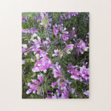 Flores Silvestres da Primavera em Tons de Roxo